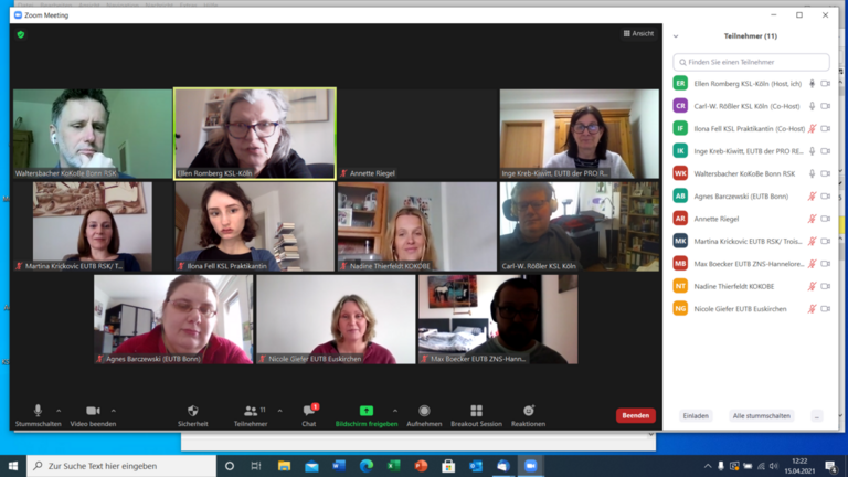 Screenshot der Videokonferenz