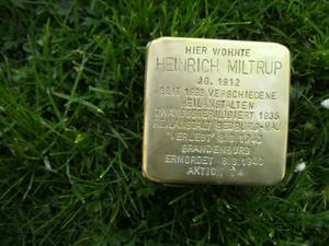 Nahaufnahme des Stolpersteins von Heinrich Miltrup. Er liegt auf einer Wiese.
