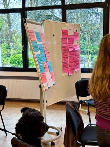 Vor einem Fenster, durch das Bäume zu sehen sind, stehen zwei Flipchart-Wände mit vielen beschrifteten Moderationskarten. Im Vordergrund sind ein Hund und eine Person von hinten zu sehen.