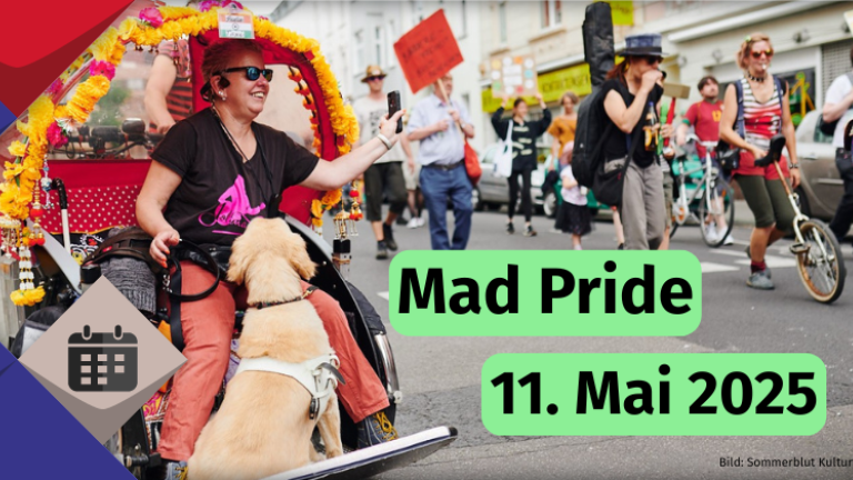 Eine Person nimmt in einer Rikscha sitzend an der Mad Pride Parade teil. Es begleitet sie ein Hund, der auf dem Fußbrett sitzt.